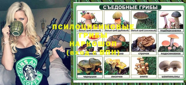 a pvp Тихорецк